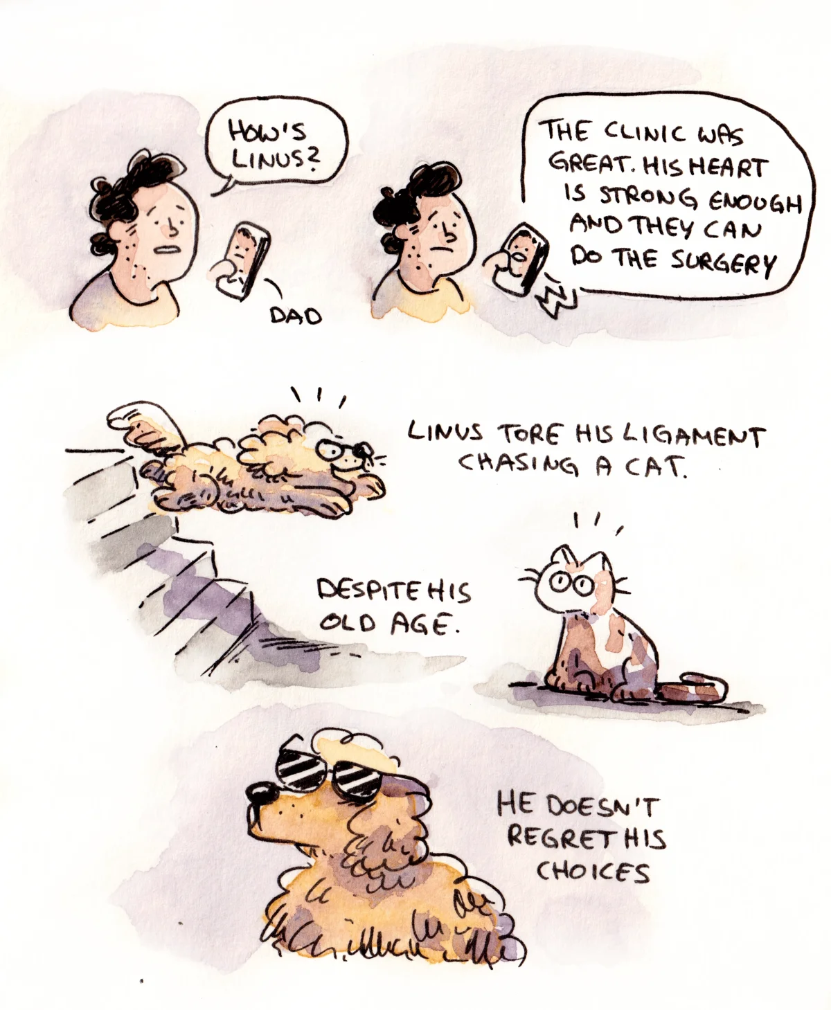 Marcel asks Dad about Linus, who injured a ligament while chasing a cat and is shown jumping down stairs.