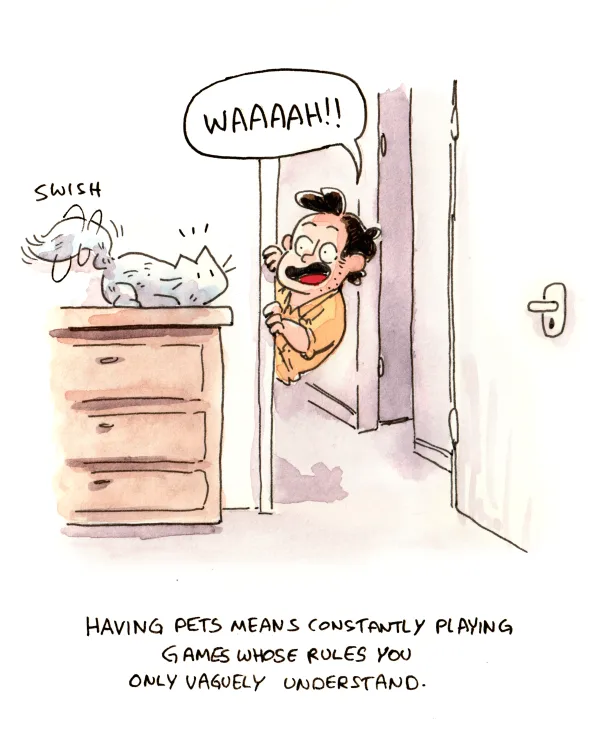 Right? I feel like there are rules but none of the cats care to elaborate. Not fair.