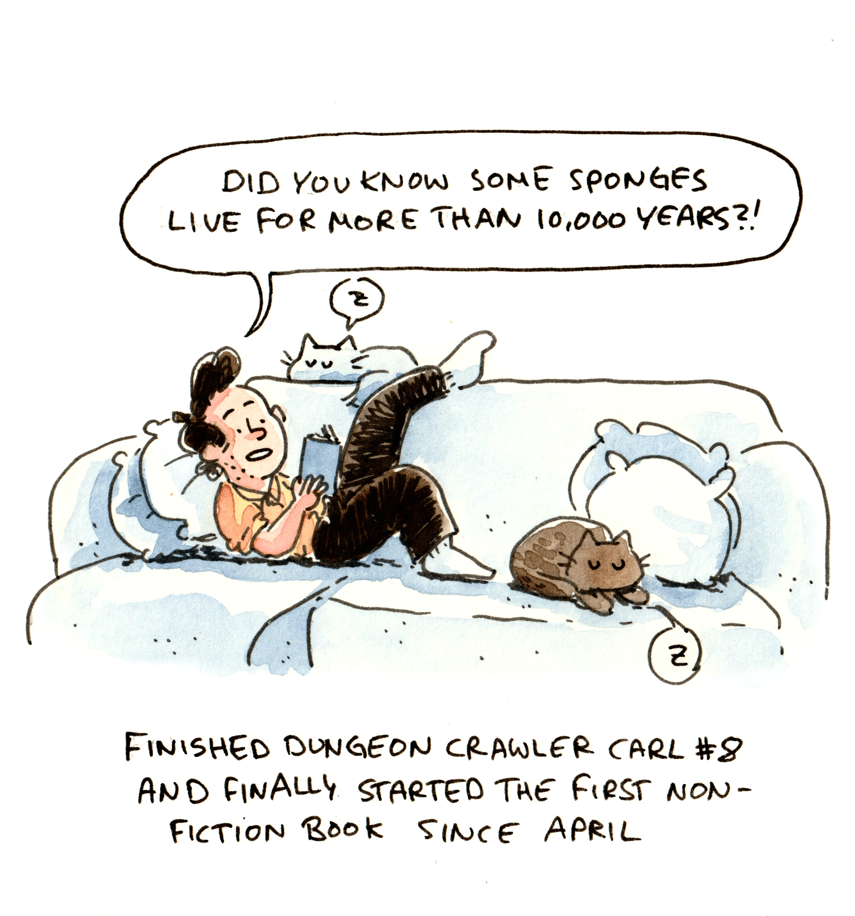 The cats yearn for non-fiction