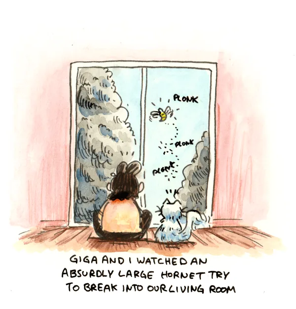 I think it’s important to show an interest in your children’s hobbies. Gigabyte has recently developed a fascination with large insects, and I cherish the quality time we spend together watching them.
