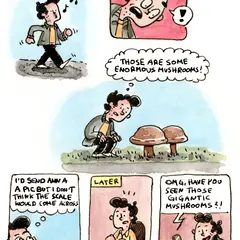 Marcel notices enormous mushrooms, then shares the discovery with Anna by message.