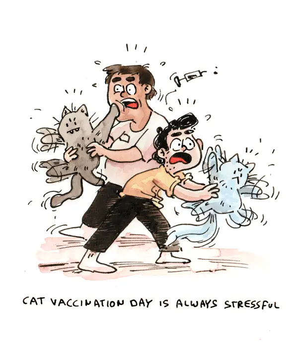 Marcel and a veterinarian struggle to hold two cats still for their vaccinations.
